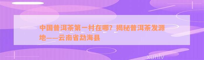 中国普洱茶第一村在哪？揭秘普洱茶发源地——云南省勐海县