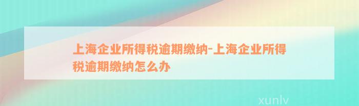 上海企业所得税逾期缴纳-上海企业所得税逾期缴纳怎么办