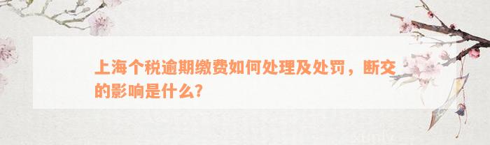 上海个税逾期缴费如何处理及处罚，断交的影响是什么？