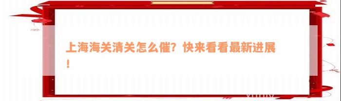 上海海关清关怎么催？快来看看最新进展！