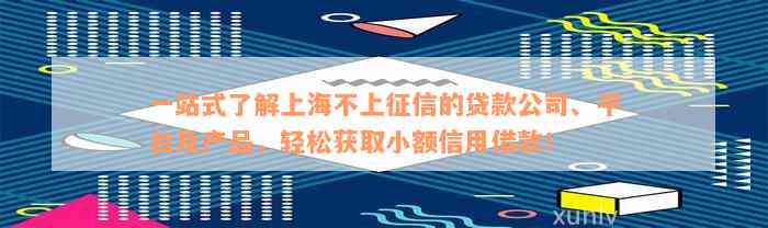 一站式了解上海不上征信的贷款公司、平台及产品，轻松获取小额信用借款！