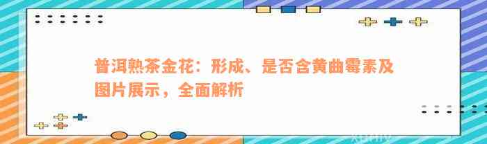 普洱熟茶金花：形成、是否含黄曲霉素及图片展示，全面解析