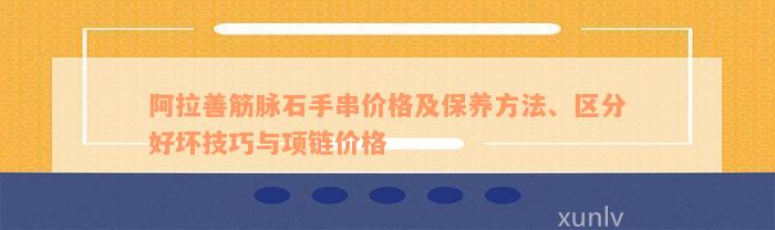 阿拉善筋脉石手串价格及保养方法、区分好坏技巧与项链价格