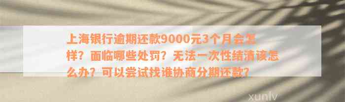 上海银行逾期还款9000元3个月会怎样？面临哪些处罚？无法一次性结清该怎么办？可以尝试找谁协商分期还款？