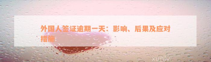 外国人签证逾期一天：影响、后果及应对措施