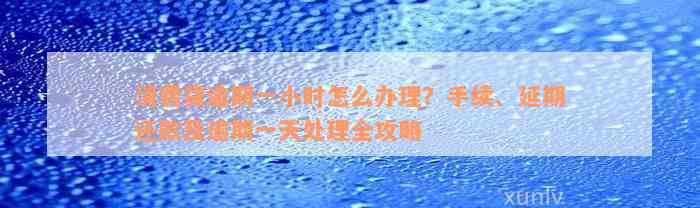 消费贷逾期一小时怎么办理？手续、延期还款及逾期一天处理全攻略