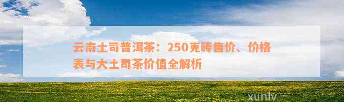 云南土司普洱茶：250克砖售价、价格表与大土司茶价值全解析