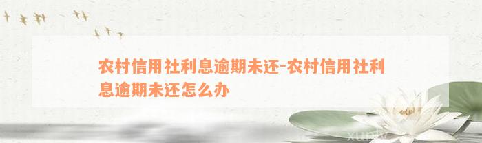 农村信用社利息逾期未还-农村信用社利息逾期未还怎么办