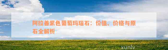 阿拉善紫色葡萄玛瑙石：价值、价格与原石全解析