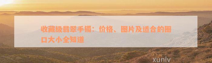 收藏级翡翠手镯：价格、图片及适合的圈口大小全知道