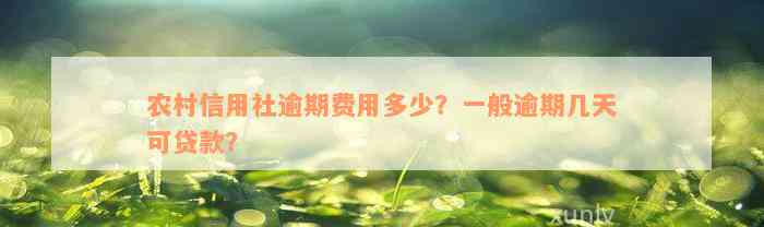 农村信用社逾期费用多少？一般逾期几天可贷款？