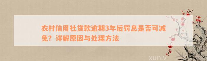 农村信用社贷款逾期3年后罚息是否可减免？详解原因与处理方法