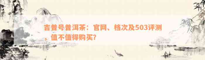 吉普号普洱茶：官网、档次及503评测，值不值得购买？