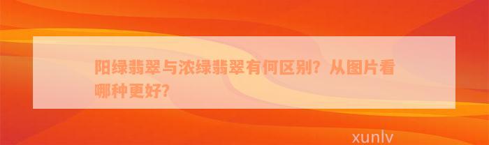 阳绿翡翠与浓绿翡翠有何区别？从图片看哪种更好？