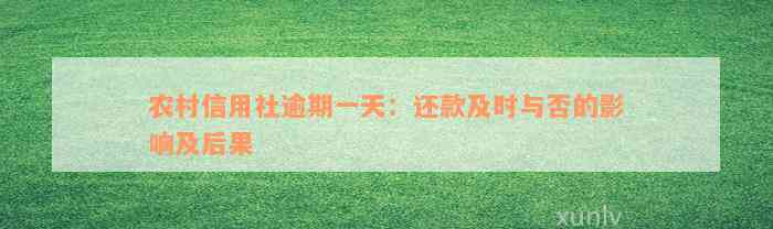 农村信用社逾期一天：还款及时与否的影响及后果