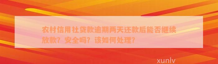 农村信用社贷款逾期两天还款后能否继续放款？安全吗？该如何处理？