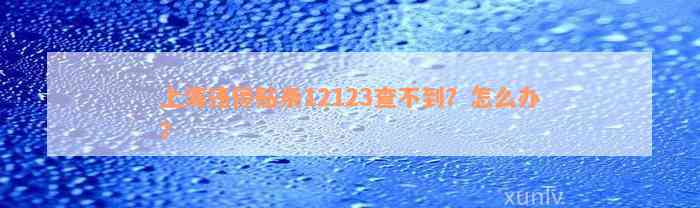 上海违停贴条12123查不到？怎么办？