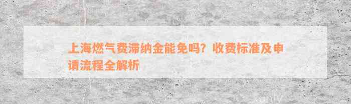 上海燃气费滞纳金能免吗？收费标准及申请流程全解析