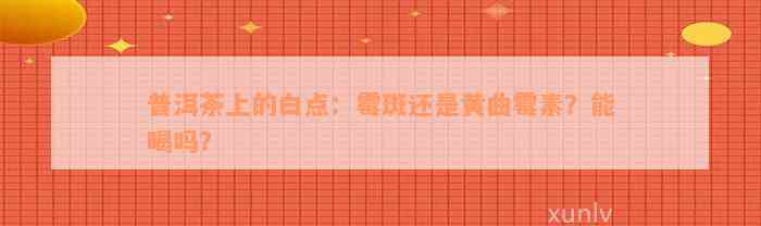 普洱茶上的白点：霉斑还是黄曲霉素？能喝吗？