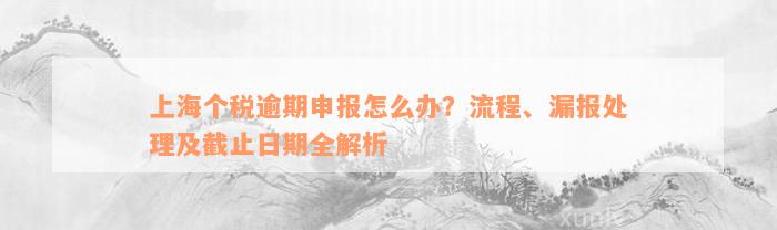 上海个税逾期申报怎么办？流程、漏报处理及截止日期全解析