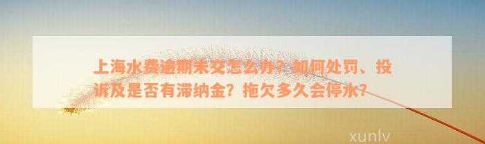 上海水费逾期未交怎么办？如何处罚、投诉及是否有滞纳金？拖欠多久会停水？