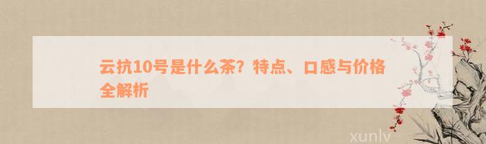 云抗10号是什么茶？特点、口感与价格全解析