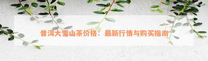 普洱大雪山茶价格：最新行情与购买指南