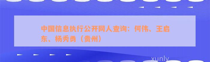 中国信息执行公开网人查询：何伟、王启东、杨秀勇（贵州）