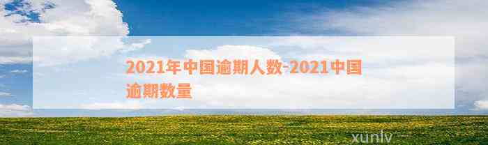 2021年中国逾期人数-2021中国逾期数量