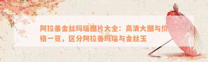 阿拉善金丝玛瑙图片大全：高清大图与价格一览，区分阿拉善玛瑙与金丝玉