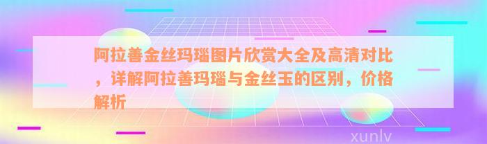 阿拉善金丝玛瑙图片欣赏大全及高清对比，详解阿拉善玛瑙与金丝玉的区别，价格解析