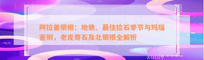 阿拉善银根：地貌、最佳捡石季节与玛瑙鉴别，老皮奇石及北银根全解析