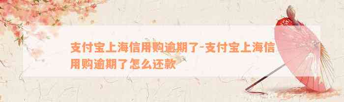 支付宝上海信用购逾期了-支付宝上海信用购逾期了怎么还款