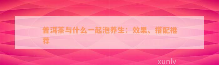 普洱茶与什么一起泡养生：效果、搭配推荐