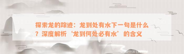 探索龙的踪迹：龙到处有水下一句是什么？深度解析‘龙到何处必有水’的含义