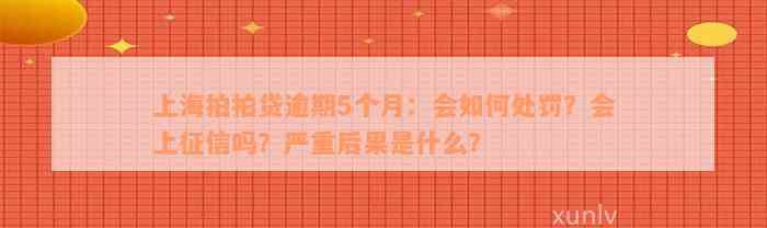 上海拍拍贷逾期5个月：会如何处罚？会上征信吗？严重后果是什么？