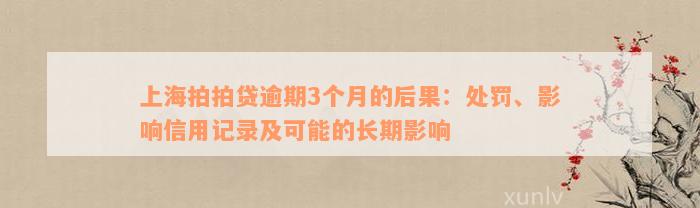 上海拍拍贷逾期3个月的后果：处罚、影响信用记录及可能的长期影响