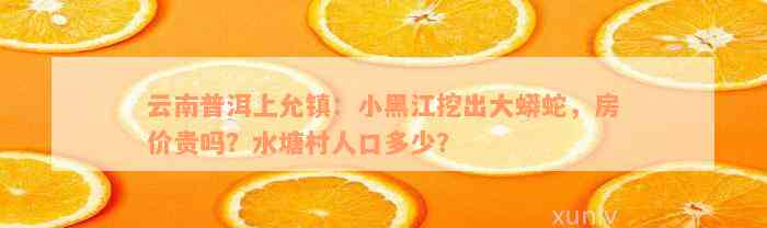 云南普洱上允镇：小黑江挖出大蟒蛇，房价贵吗？水塘村人口多少？