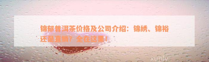 锦郁普洱茶价格及公司介绍：锦绣、锦裕还是直销？全在这里！