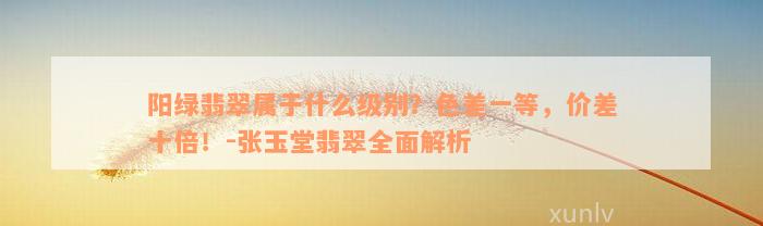 阳绿翡翠属于什么级别？色差一等，价差十倍！-张玉堂翡翠全面解析