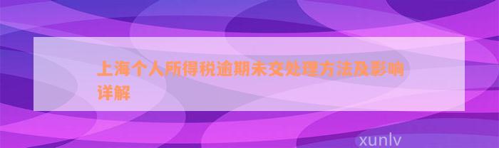 上海个人所得税逾期未交处理方法及影响详解