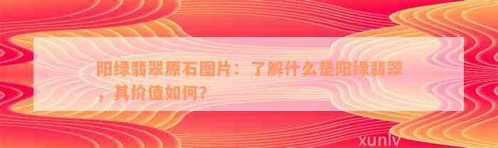 阳绿翡翠原石图片：了解什么是阳绿翡翠，其价值如何？