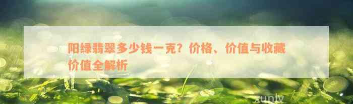 阳绿翡翠多少钱一克？价格、价值与收藏价值全解析