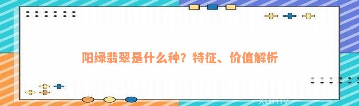 阳绿翡翠是什么种？特征、价值解析