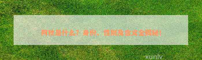 阿秋是什么？身份、性别及含义全揭秘！