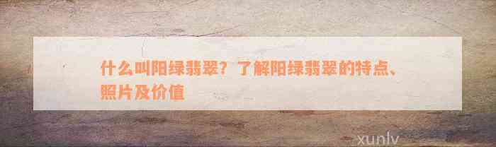 什么叫阳绿翡翠？了解阳绿翡翠的特点、照片及价值