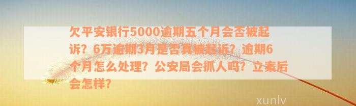 欠平安银行5000逾期五个月会否被起诉？6万逾期3月是否真被起诉？逾期6个月怎么处理？公安局会抓人吗？立案后会怎样？