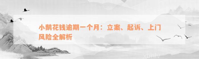 小鹅花钱逾期一个月：立案、起诉、上门风险全解析