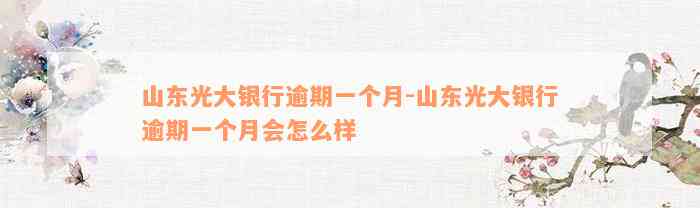 山东光大银行逾期一个月-山东光大银行逾期一个月会怎么样