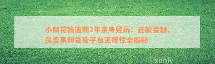 小鹅花钱逾期2年亲身经历：还款金额、是否高利贷及平台正规性全揭秘